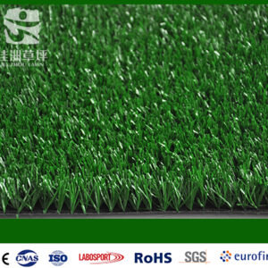 Gramado da pista JZRD-20GREEN