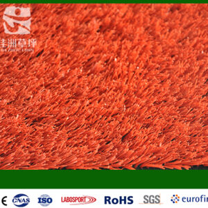Gramado da pista JZRD-20RED