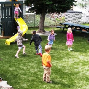 Artificial Leisure Lawn